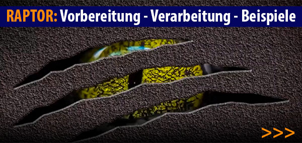 raptor-vorbereitung-verarbeitung-hinweise