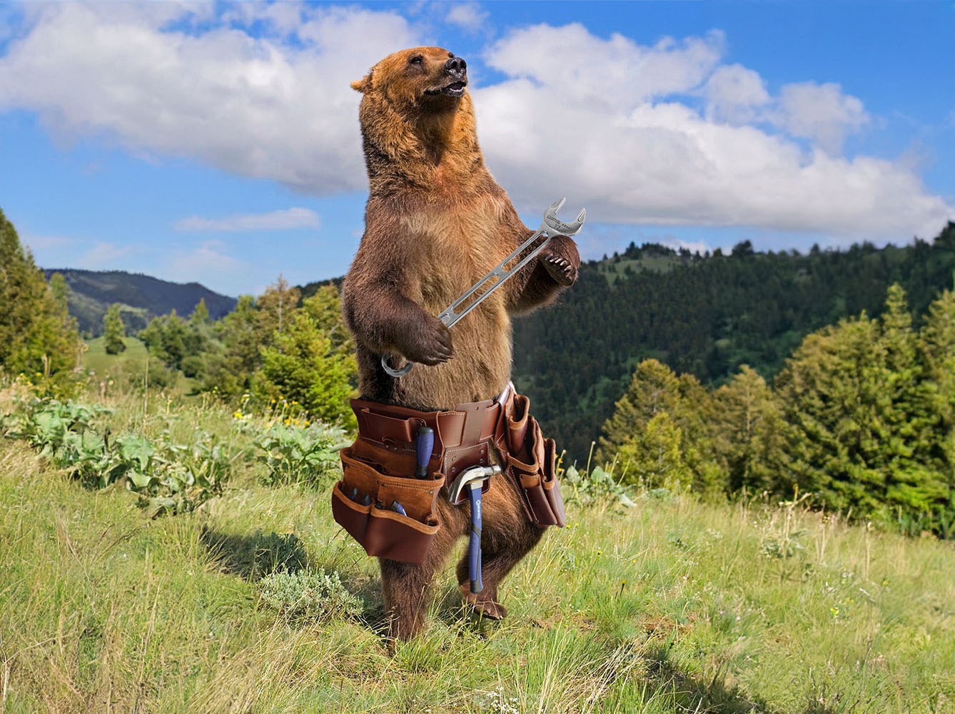 Montagepauschale für Systemdachträger CargoBear