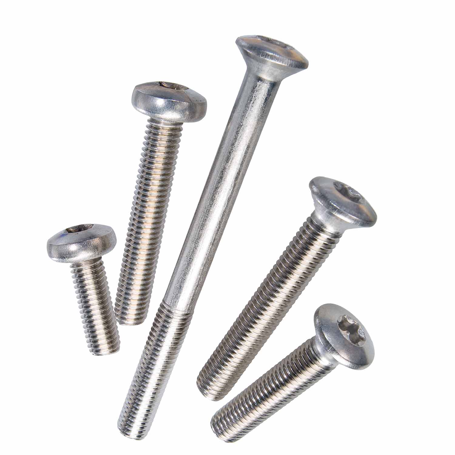 Door hinge screw set stainless steel