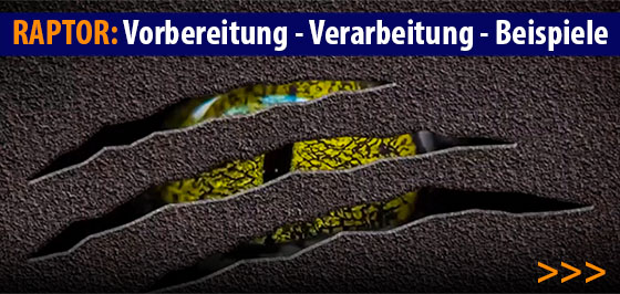 Raptor-Vorbereitung-Verarbeitung-Hinweise-560